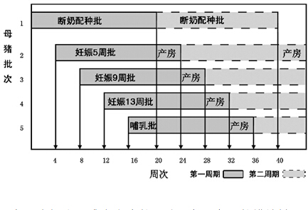 自繁自养型的规模基础母猪>3000头,商品猪>50000头/年.b.